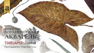 Листок | Онлайн курс «Ботаническая акварель» Листок | Онлайн курс «Ботаническая акварель»