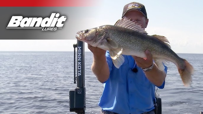 Bandit Lures Walleye Shallow / Deep Bait Review by Jesse WIlliams