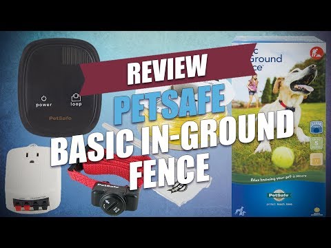 Review of the PetSafe Basic In-Ground Fence [Updated Guide]