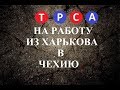 #11 TPCA. Чехия режим Украина. Что следует знать, как себя подготовить. Бесплатное трудоустройство.