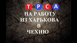 #11 TPCA. Чехия режим Украина. Что следует знать, как себя подготовить. Бесплатное трудоустройство.