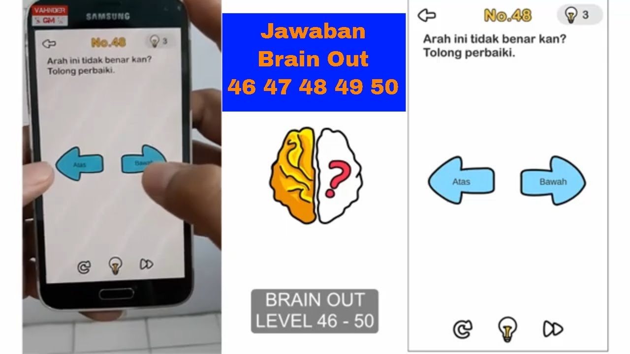 48 уровень brain
