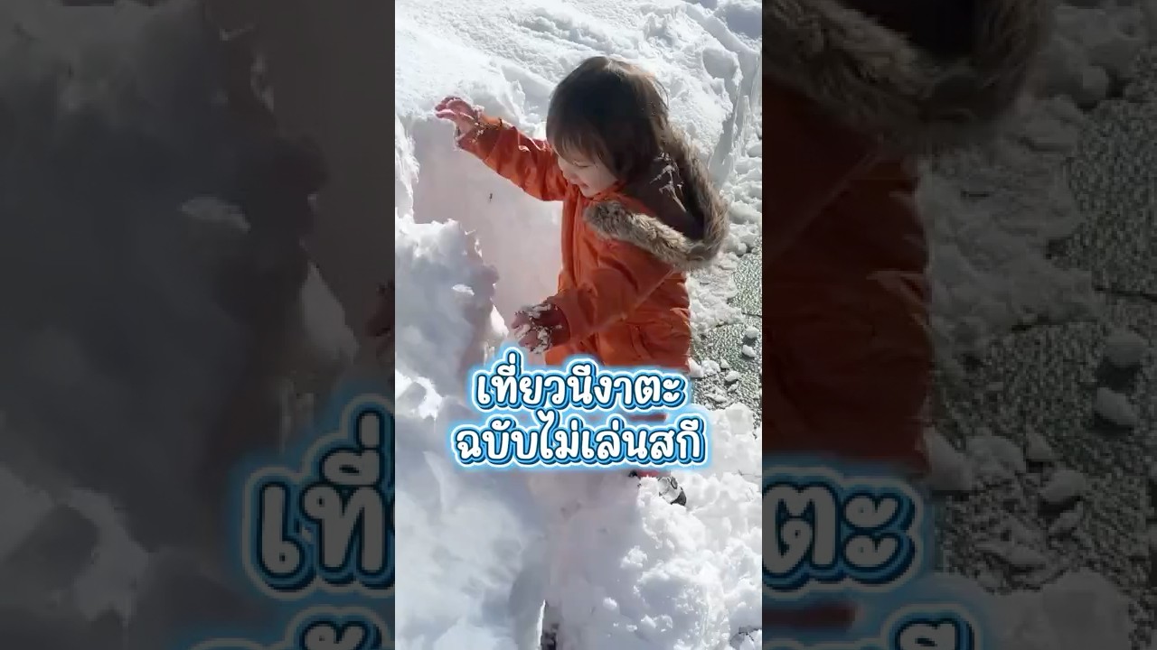 นีงาตะ ไม่ได้มีแค่หิมะนะคะ 🥰❄️ #PR #Niigata #เที่ยวญี่ปุ่น #นีงาตะ