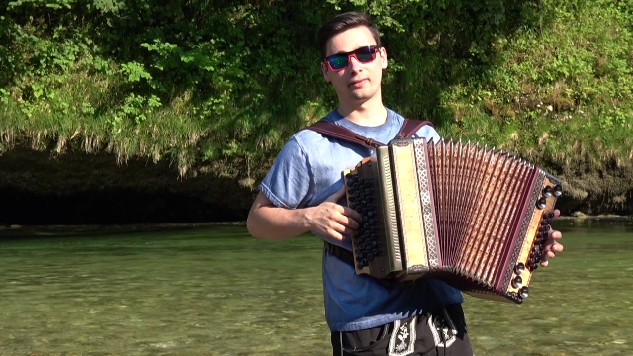 Despacito Harmonika - Michael Sattler