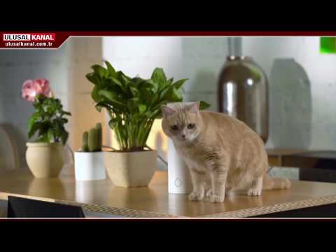 ÇİÇEKLERİNİZİ ROBOTLAR SULAYACAK