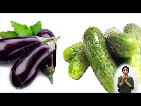 დახურული გრუნტი