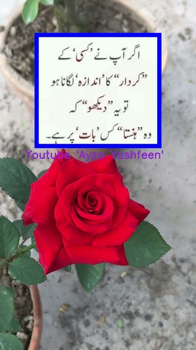 urdu-best-motivational-discovering-gems-in-mini-urdu-quotes-shorts