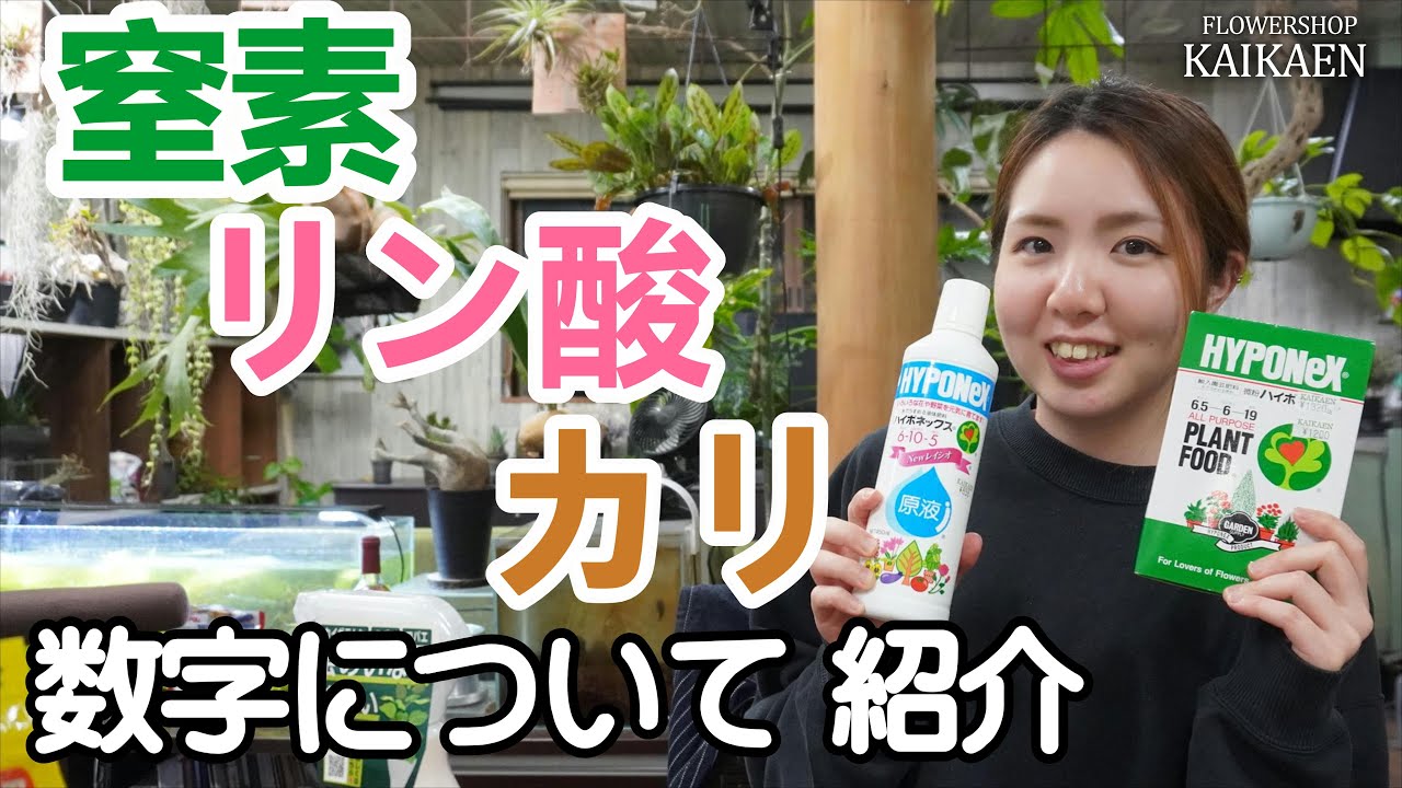 窒素・リン酸・カリ　成分　数字について　紹介します　分かりやすく　覚えやすい【おうちでガーデニング】開花園チャンネル