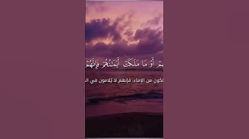 القارئ صالح عبد اللطيف العظيمه من سوره المؤمنون من ايه 1 الى ايه 22❤❤❤❤