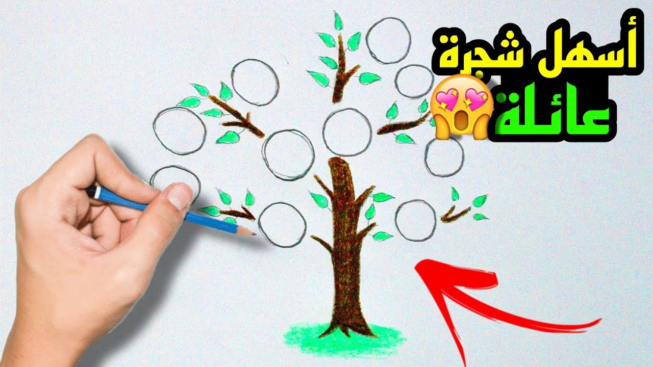 كيفية رسم شجرة العائلة | رسم شجرة العائلة - YouTube