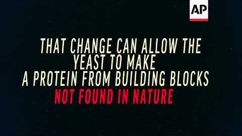 Scientists build DNA from scratch to alter life