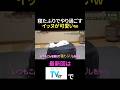 全然起きなくて草 #月曜から夜ふかし #犬 #可愛い #癒し #おもしろ #神回 #shorts #tv #まとめ
