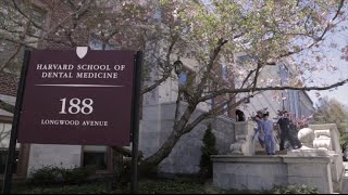 HSDM Campaign Video: It Begins With You