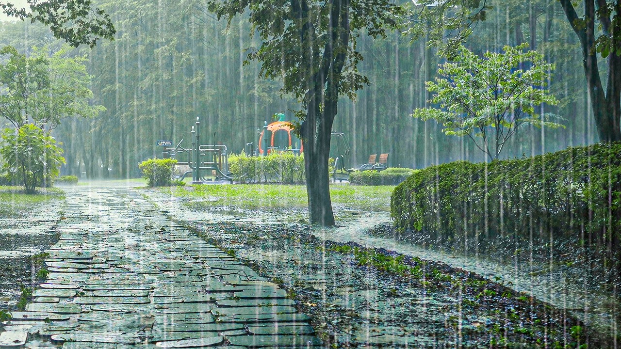 Heavy Rain Sounds for Deep Sleep and Insomnia Relief | Fall Asleep in Minutes, White Noise ASMR