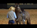 Eduardo Borba (Educação Equestre e Equitação Funcional)