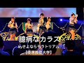 臆病なカラス【さよならモラトリアム】UNIDOL 2025-26WINTER決勝 #さよモラ #unidol #ライブ #慶應義塾大学 #僕が見たかった青空 #踊ってみた