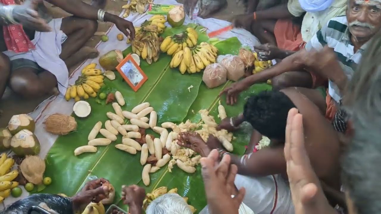 தண்ணாசி பூஜை/ கோட்டை வணங்காமுடி கோயில் #சாமிஆட்டம் மீன்கிணறு #karuppusamy