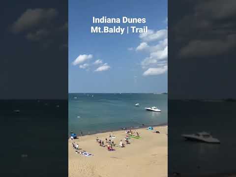 Video: Indiana rannad koertele