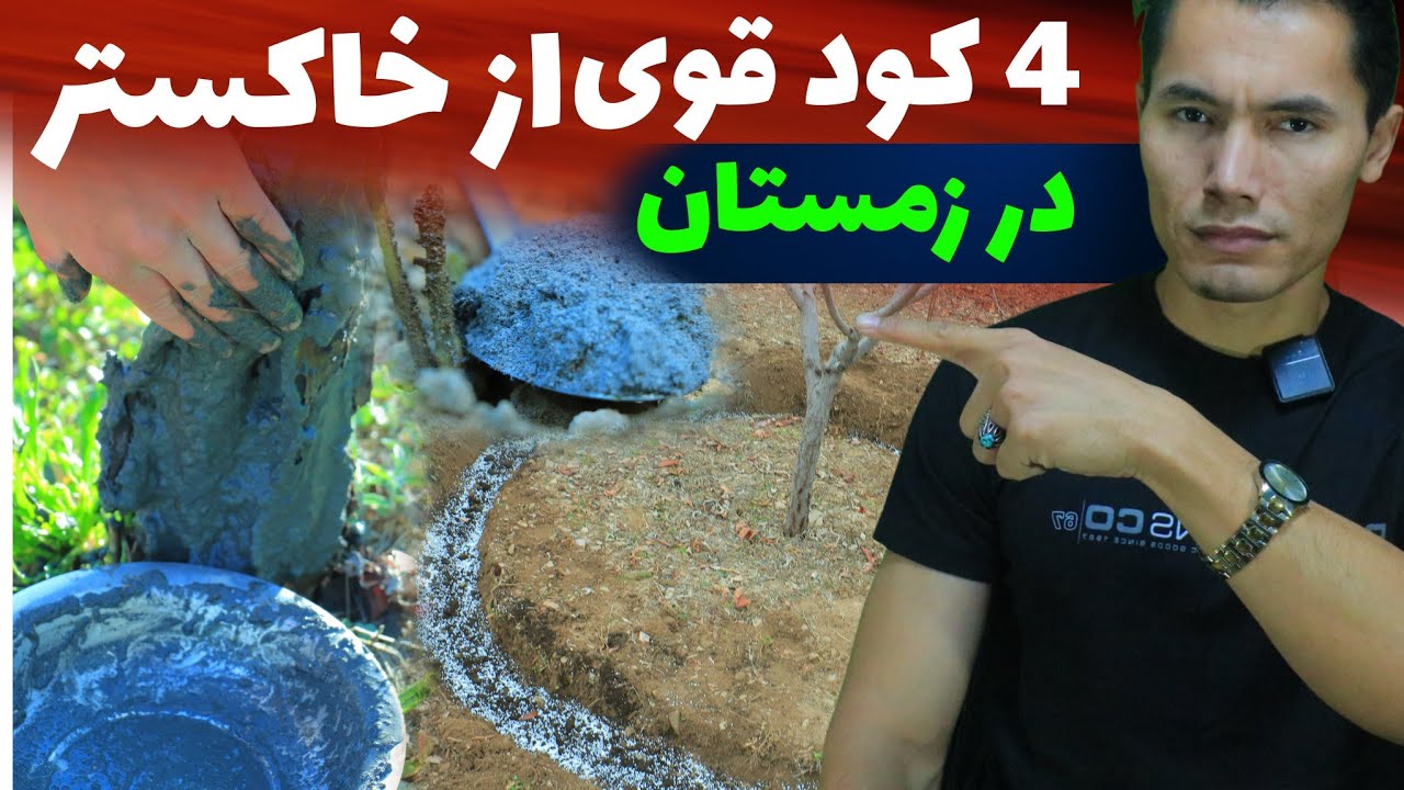 خاکستر را دور نریز💥 تهیه ۴ نوع کود قوی از خاکستر در زمستان
