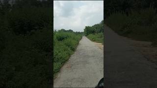 Ye mehadi ke boote #village #naturelovers #shorts #youtubeshorts