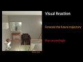 Visual Reaction