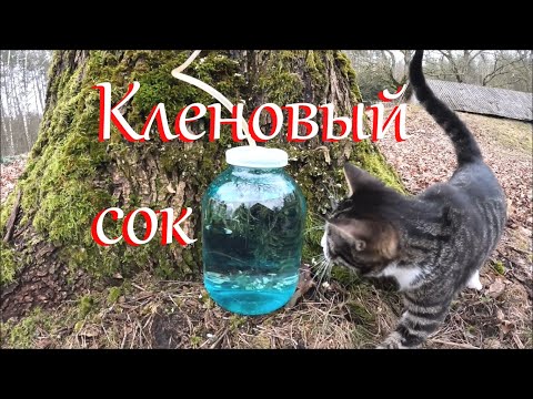 Пополнение в хозяйстве.