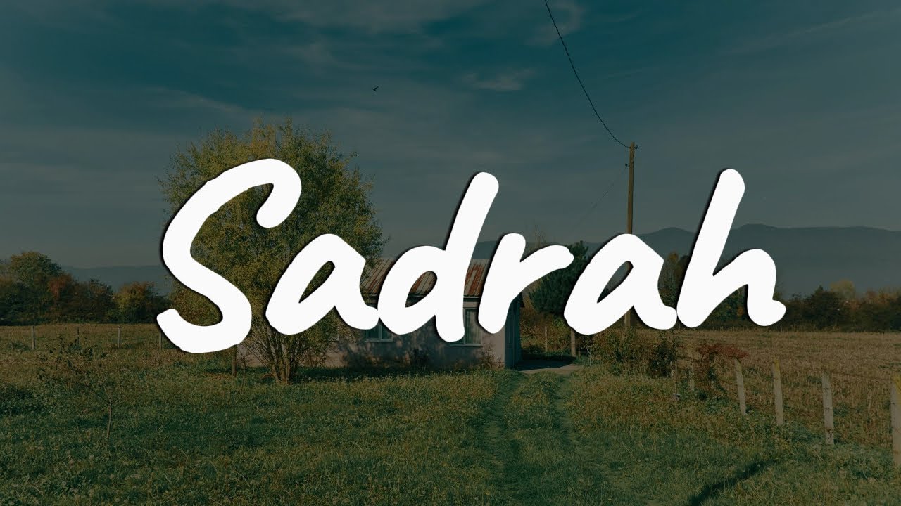 for Revenge - Sadrah || [Lirik] - Playlist Viral