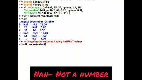 Remove NaN Values in Pandas DataFrame - Handling Missing Data I Data Analysis with Python