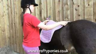 PONY LESSONS: How to put a saddle on PONY LESSONS: How to put a saddle on