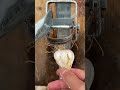 An Old Farmer’s Secret Weapon for Cutting Garlic Roots—How Do You Usually Deal with Garlic