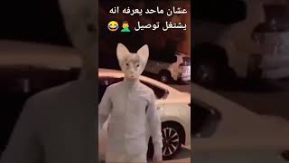 مايبغى احد يعرف انه مندوب توصيل😅😂😂