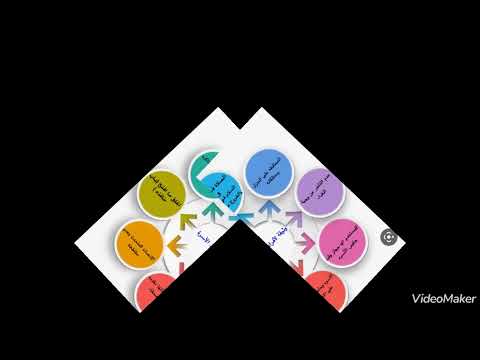 في بيتنا قانون لمادة لغتي الجميلة للصف الرابع الابتدائي