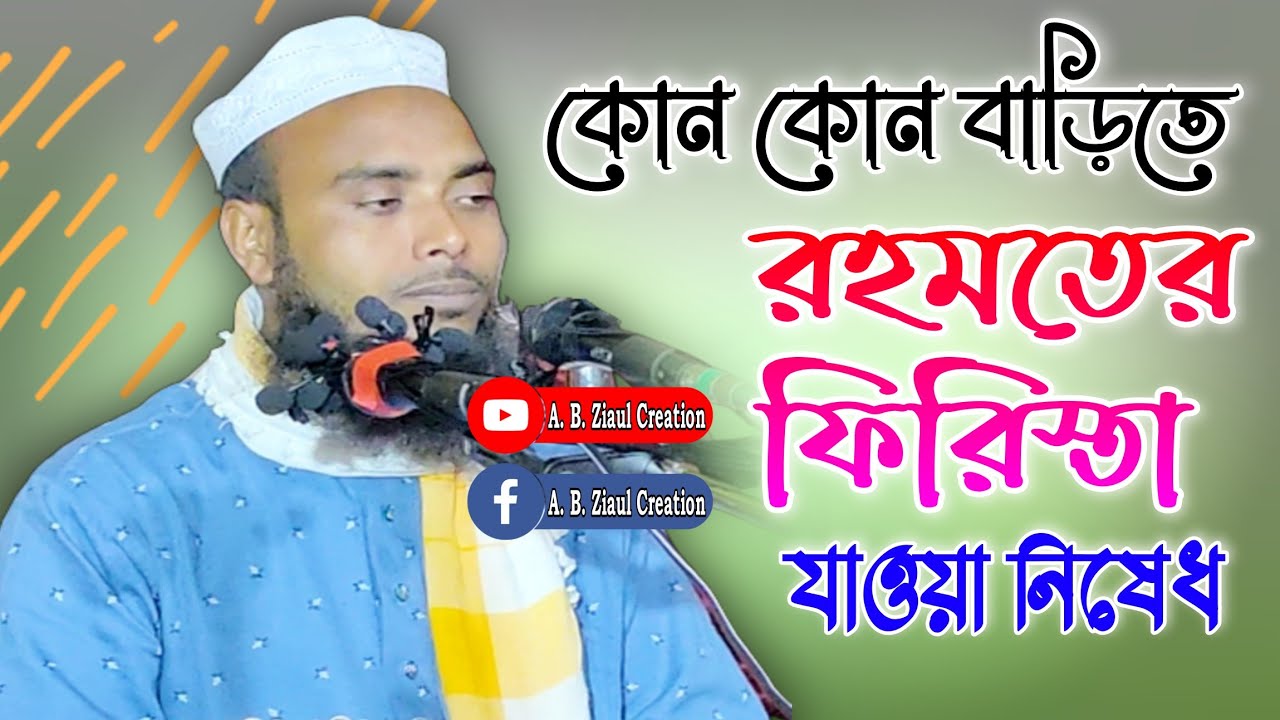 Maulana Anamul Haque || Bangla New Waz || A. B. Ziaul Creation