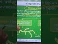 kingdom fungai #biology #biology byAshishDubeysir#neet#neet2026#motivational #shortsvideo #shortfeed