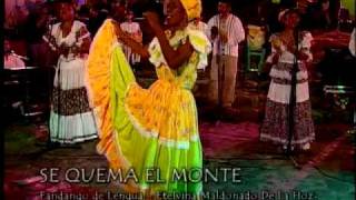 Video thumbnail of "Se quema el monte Alé Kumá Etelvina Maldonado Fandango"