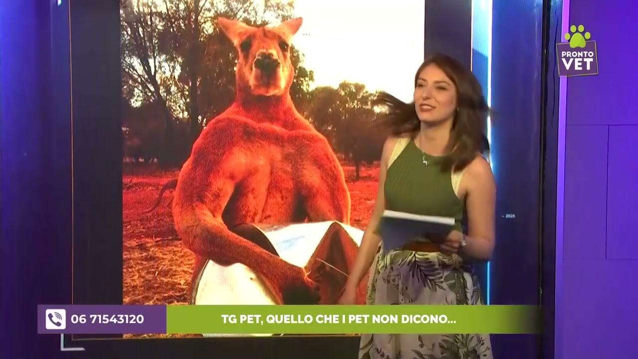 Pronto Vet - TG Pet, quello che i pet non dicono...
