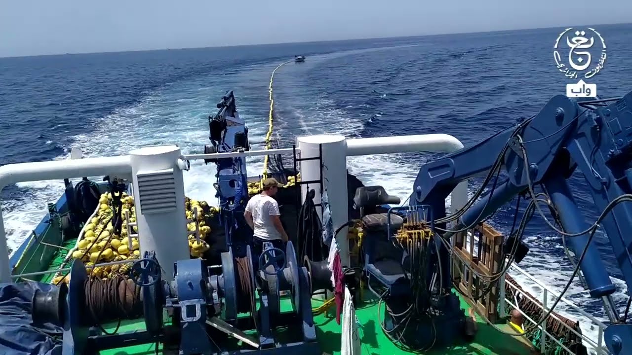 شاهد.. عملية صيد التونة الحمراء وإدخالها الأقفاص العائمة