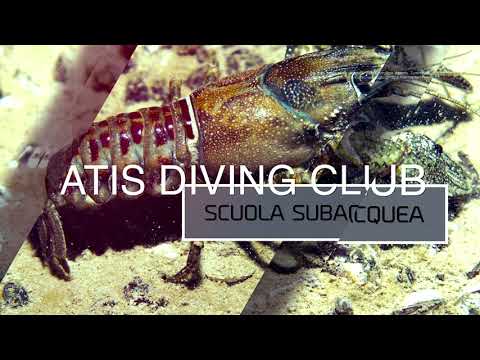 Immersione Val di Sogno ATIS Diving Club