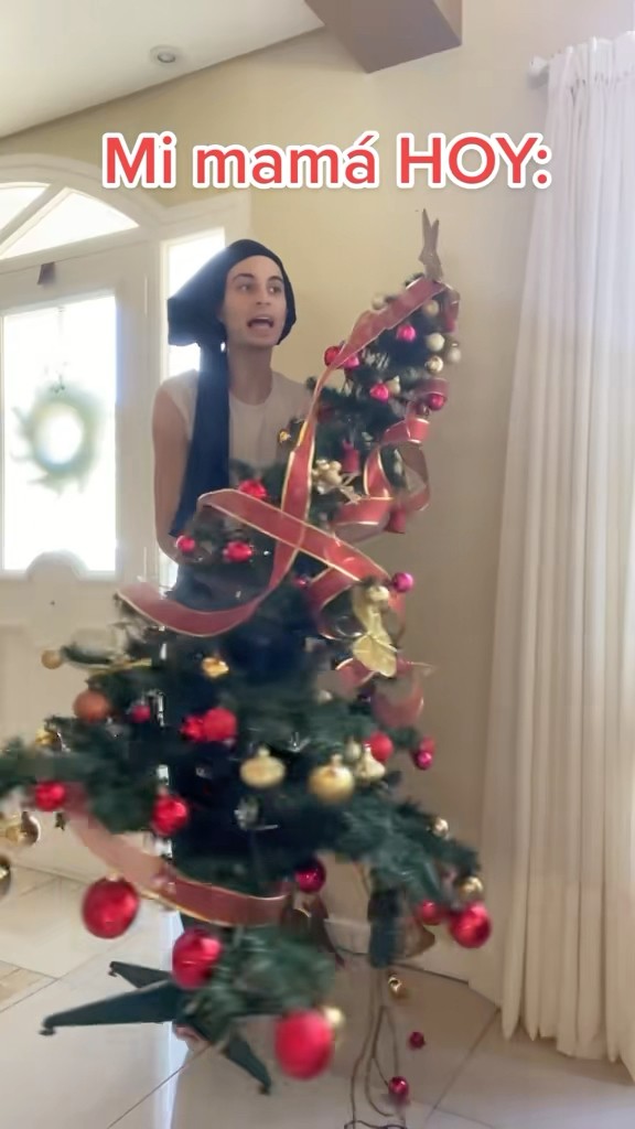 MIRÁ QUE ME PASO EN NAVIDAD