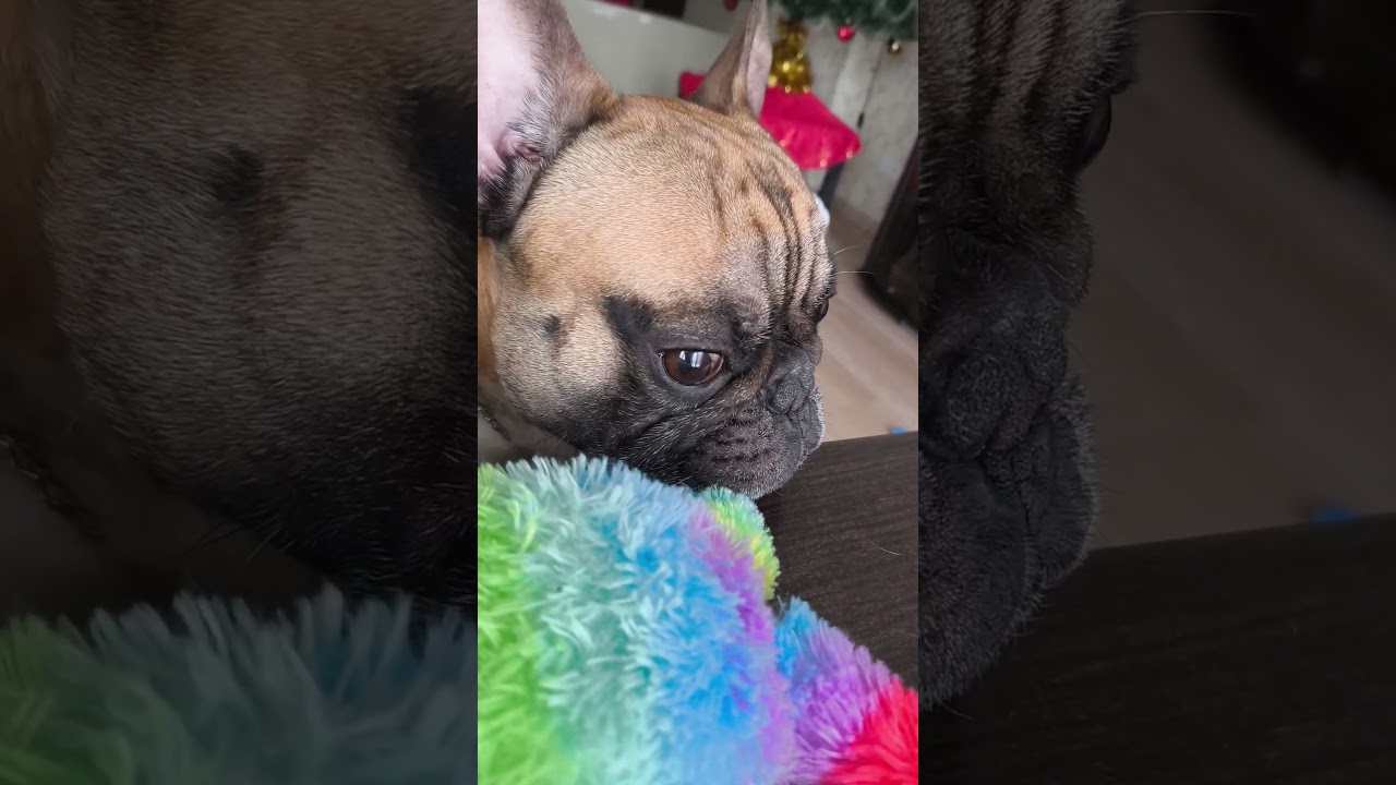 Спокоен за свою безопасность 