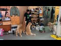 先日の検査の件から今後どんな風に生きてくか考えました