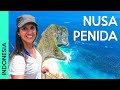 Nusa Penida - BALI, INDONESIA | You must see this 
