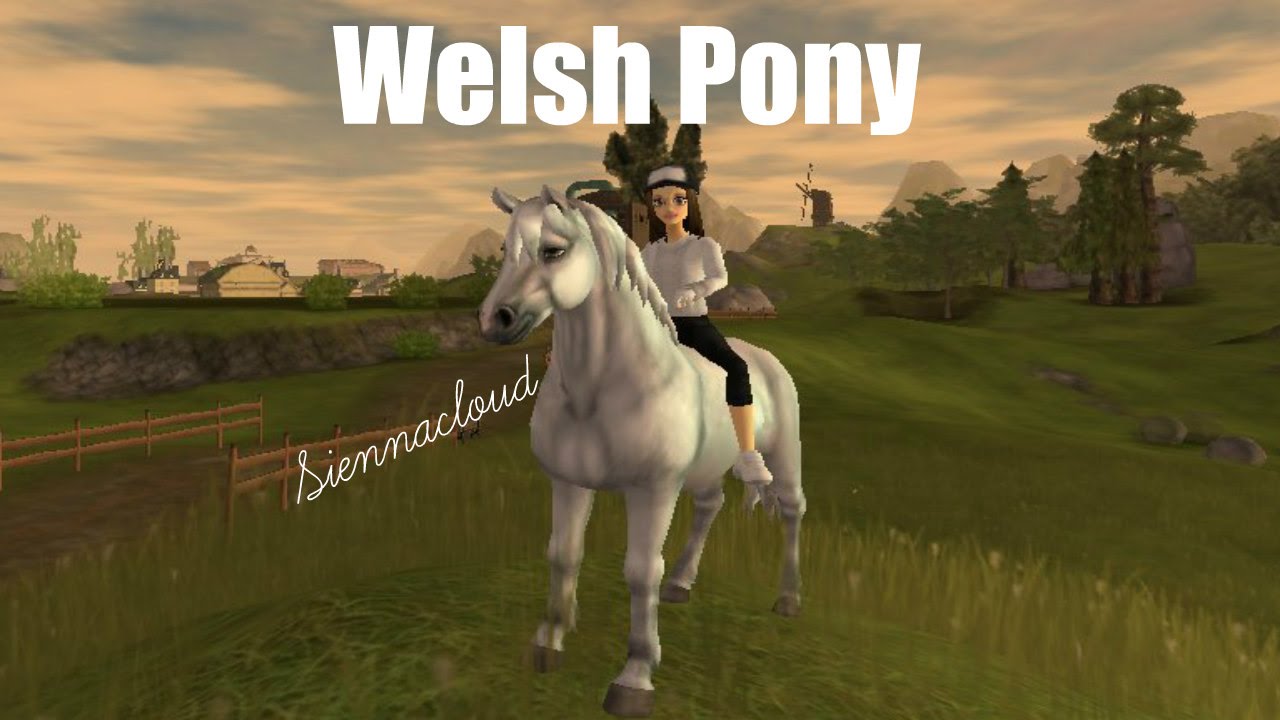 welsh pony star stable database welsh pony star stable database