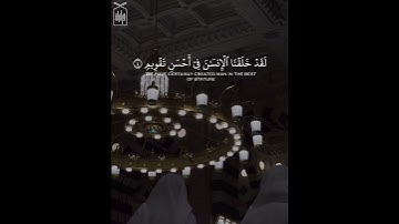 ﴿وَالتّينِ وَالزَّيتونِ﴾ سورة التين .. الشيخ عبدالله البعيجان عشائية ٨ شوال ١٤٤٥هـ 🤍..