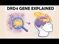 The DRD4 Gene Explained | Behavioural Genetics &amp; Psychology