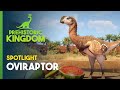 Reino Pré Histórico Destaque Do Oviraptor Reino Pré Histórico Destaque Do Oviraptor