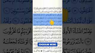 IDGHAM MIMI