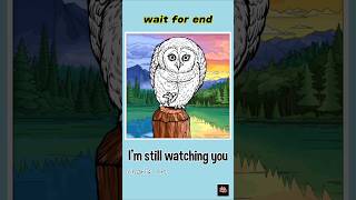COLORING OWL