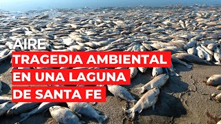 🐟☠️ 🔴 20 kilómetros de peces muertos en la "Laguna del Plata" 🔴☠️🐟