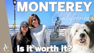 LA to Monterey | Is it worth it? (Where To Go And Where To Stay With Your Dog) Pet-Friendly Travel